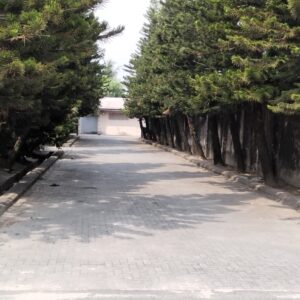 Garden Kerbs